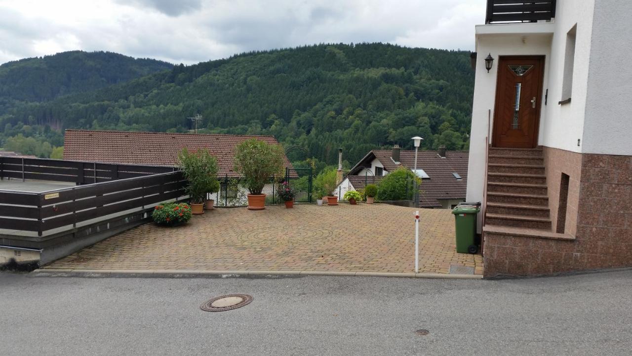 Ferienhaus Korsikablick Unter Schonmattenwag Bagian luar foto